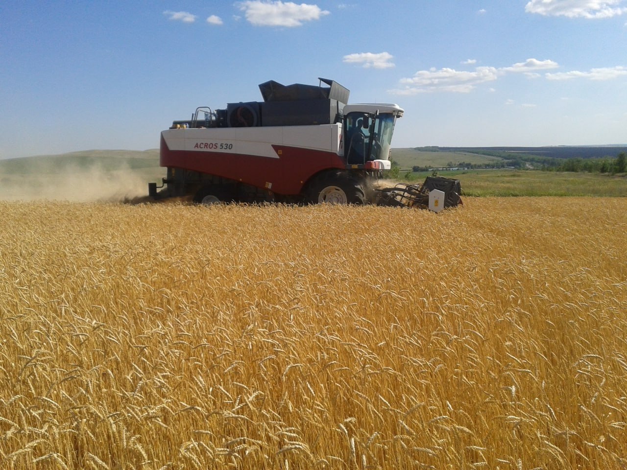 Калининский район стал лидером по сбору зерна в Саратовской области